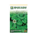 (DN) 화이트크로바 씨앗(20g) : 화분백화점