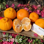 [가정용] 은서네농장 레드향 3kg/5kg/10kg : 은서네농장