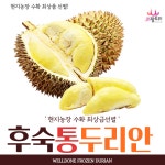 후숙 통두리안,급속냉동, 2kg/2.5kg/3kg/3.5kg 중 선택 : JK 팜몰