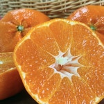 [가정용] 은서네농장 레드향 3kg/5kg/10kg : 은서네농장