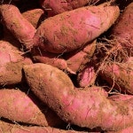 산마루 고구마 5kg 10kg 서산 황토 호박 꿀고구마 베니하루카 : 산마루 농장