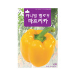 (CN) 옐로우파프리카 씨앗 (10립) : 화분백화점