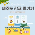 [농장직송] 서귀포 조생감귤 5/10kg : 상예동한라농장