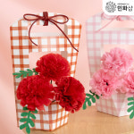 [행사] 카네이션만들기 어버이날꽃바구니 초등미술수업키트 장난감재료 핑크체크 FDOPP0441 : 민화샵
