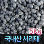 국산서리태 서리태콩 건강잡곡 검정콩 서리태 5kg : 해뜸농장-강화교동농산물직판