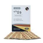 백살 압봉 수지침 압침봉 패치 혈자리 이침 1호 6호 금 30 100개입 : 원투원메디