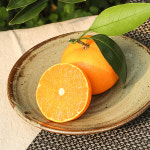 제주 천혜향 : 제주 보목웰빙농장