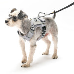 인터라켄 커스텀 강아지 하네스 H형 소형견 앞섬방지 앞고리 가슴줄 XXS : 니즈더펫