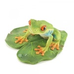 [팬시] ca187a 청개구리 장식물 인테리어 가든 오너먼트 : MAKOTO-nv