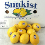 레몬 품질우수 팬시레몬 10과, 20과, 30과, 40과, 50과, 60과 : 명일엠에스