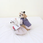 이츠독 강아지 고양이 애견 생활 전통 핸드메이드 명품 고급 한복 : 이츠독