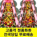 다비다웨딩홀 축하화환 : 차차플라워-