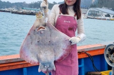 흑산도 홍어 국산 국내산 삭힌 홍어회 홍어애 홍어묵 삼합 택배 300g 500g 1kg : 홍어여왕