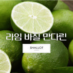 라임바질만다린 / 프래그런스 오일 100ml, CPL Aroma : MODEN