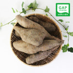 [북안동농협] 안동 산마(중) 2kg/3kg : 친환경팔도