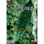 (씨앗) 자이언트여주 - 일본 수입종 큰 여주 씨앗 종자 - 소포장 10립 : 진양원예사