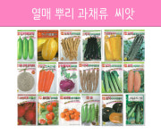 각종 과일 채소 뿌리 열매 메론 씨앗 종자 : 한양팜마트