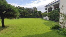 한국 잔디씨앗30g(2m2용) 정원 산소 공원 골프장용 종자 들잔디 : 광림아그로