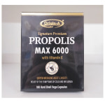 ORIGIN-A PROPOLIS Max 오리진에이 프리미엄 프로폴리스 맥스 6000mg 180캡슐 : 올인글로벌