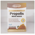 ORIGIN-A PROPOLIS Max 오리진에이 프리미엄 프로폴리스 맥스 6000mg 365캡슐 : 올인글로벌