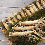 예카공구 금산인삼시장 6년근 수삼선물세트 실속형 : 금산 수삼시장