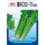 (씨앗) 톨유다 샐러리 - 셀러리 샐러리 씨앗 종자 - 소포장 - 3천립 : 진양원예사