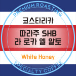 싱글오리진 - 코스타리카 따라주 SHB 라 로카 엘 알토 Honey [500g] : 제이케이커피로스터스