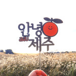 안녕 제주 여행 토퍼 스냅촬영 소품 프레임 : 제주 모이소