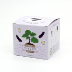 반려식물 화분재배키트 팜팜농장시리즈 모종 키우기 : 히키스