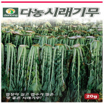 다농시래기무 씨앗 500g : 수누피팜