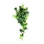 풍성한 인테리어 덩쿨 거실 사무실 홈카페 식당 조화 조경 장식 촬영 E : 타이디하우스