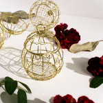 골드펌킨, 골드프레임테라리움 틸란테라리움 : 감성소품 둔떼