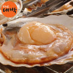 동해안 참가리비 1kg 국내산 제철 대왕 큰가리비 캠핑조개구이 : 더대박