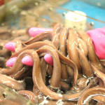 국내산 마산 산 손질 꼼장어 1kg 생물 수입 냉동 보양식 : 더대박