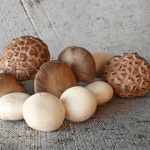 고급 모듬버섯 5종 1050g 샤브샤브 구이, 양념장 포함 : 파머스몰