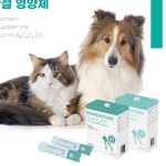 강아지관절약 고양이 반려견 애견관절영양제 관절에좋은음식 : 헬시파머