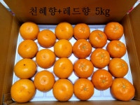 [성훈 농장]제주 한레천 한라봉+레드향+천혜향 혼합 고급 선물용(5kg/10kg) : 성훈 농장