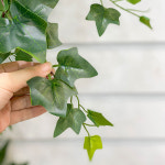 아이비 바인 부쉬 (90cm) : 플레르데코