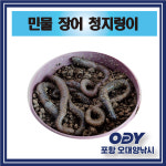 민물 장어 청지렁이+아이스박스+아이스팩 미끼 생물-포항 오대양 : 포항 오대양낚시