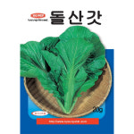(씨앗) 돌산갓 - 갓 - 여수갓 - 돌산갓 씨앗 종자 - 소포장 텃밭용 - 20g : 진양원예사