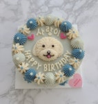 강아지생일케이크 대형견 반려견 파티 얼굴 수제선물 다견가족(라지사이즈) 닭 : 코코베이커리