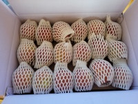 부사사과 못난이사과 포천사과 10kg : 수영농장