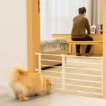 강아지안전문 방문펫도어 접이식방묘문 베란다개문 강아지현관문 : 곽씨네슈퍼