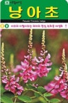 이리의 이빨 낭아초 씨앗(5000립)(A0760) : 구삼팔육마켓