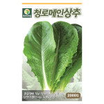갑조네 청로메인 상추 씨앗 쌈채소 상추 쌈채소 베란다 텃밭 로메인씨앗 : 갑조네