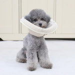 [개놀자] 오가닉 펜타곤 넥카라 강아지 고양이 목쿠션 중성화넥카라 도트 S : 개놀자펫