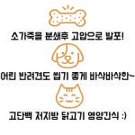 2개월 3개월 새끼강아지 개껌 간식 : 상아네