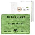 애슬라 황토 쑥 냉온 찜질팩 어깨 허리 복부 배 온열 물리치료 핫팩 : 닥터투데이