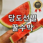 하우스수박 백화점 이마트 국산 고당도 꿀 맛있는 겨울 과일 택배 5kg 6kg : 맛있는 제철과일