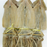 건어물천국 마른오징어 20미 넉넉하게 즐기는 대용량 안주 간식 2.5kg, 1개 : 건어물 천국